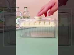 실리콘 얼음 큐브 폼